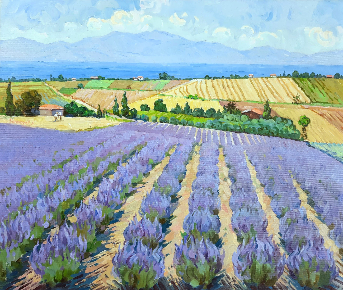 Where lavender looks to Olympus