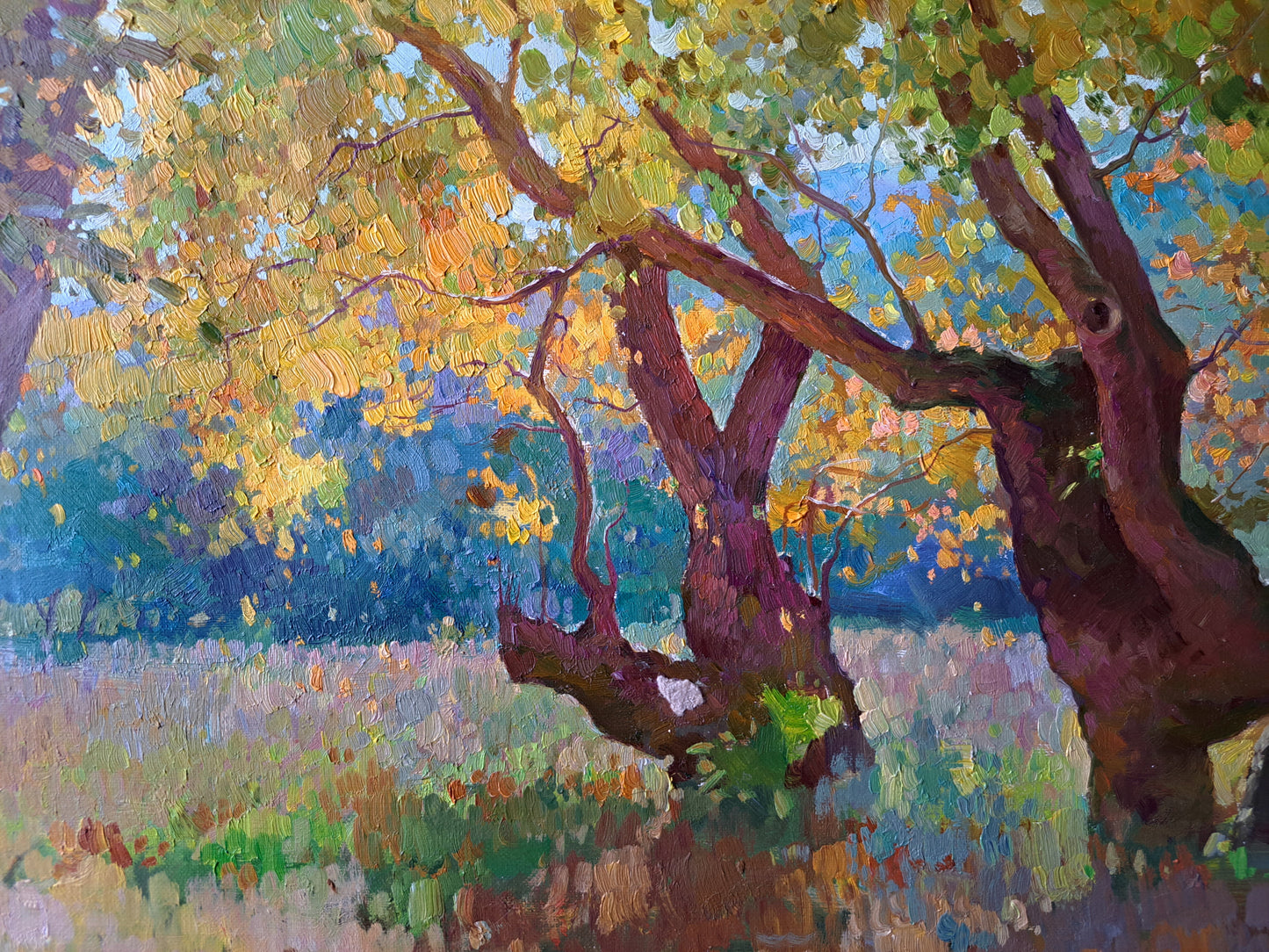 Golden forest near holy mount Athos