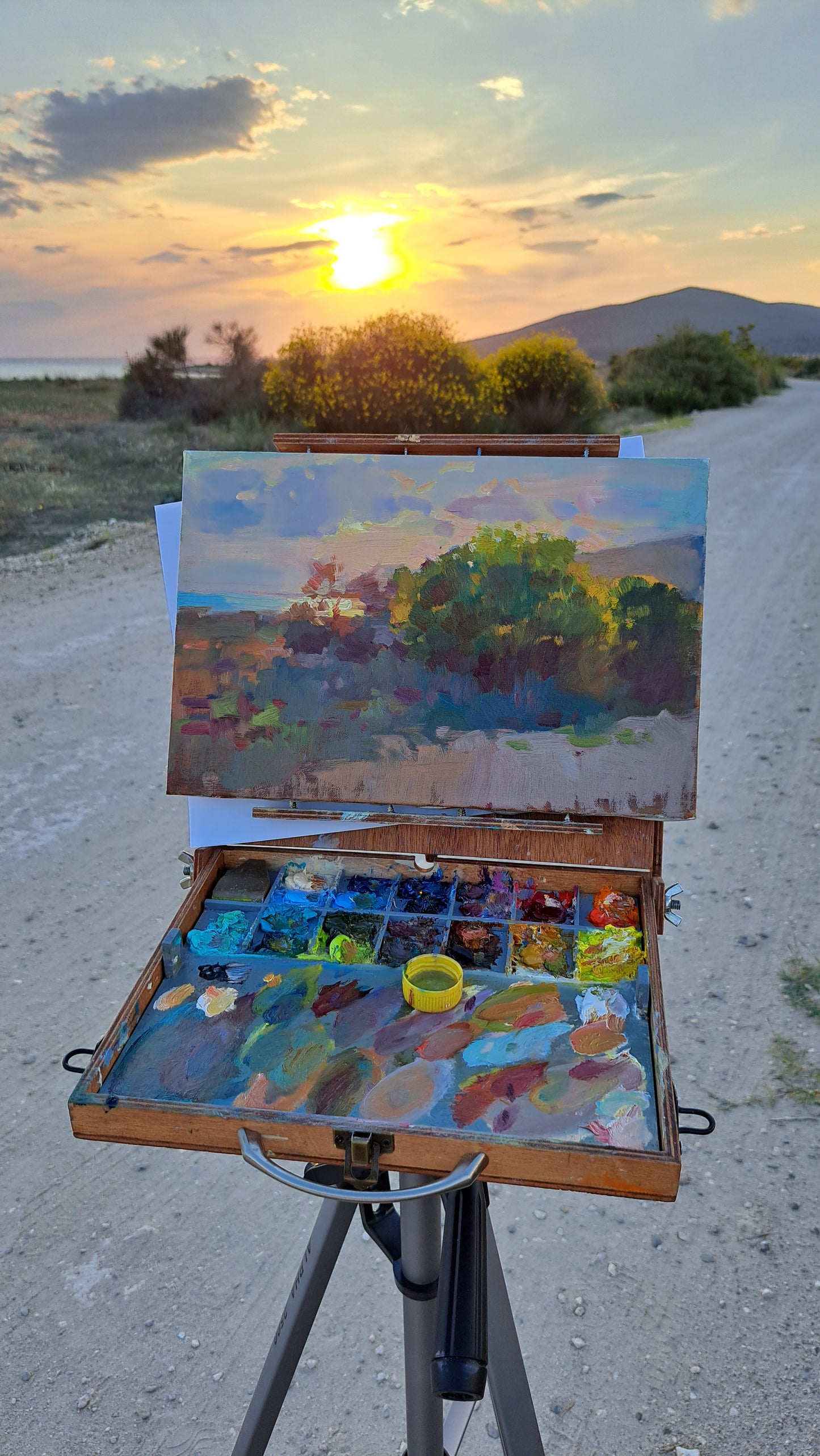Gorse on sunset