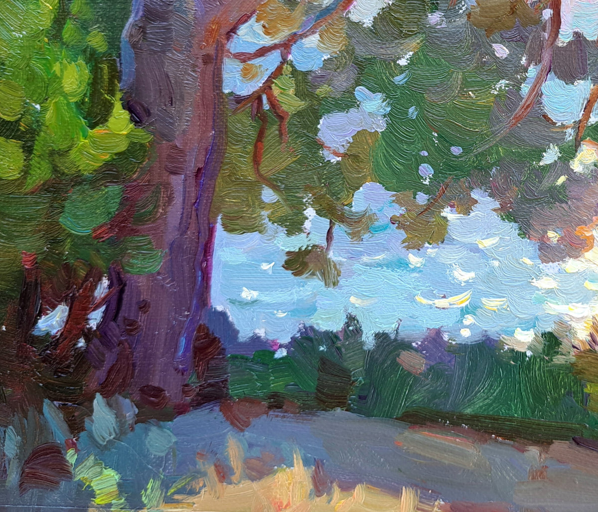 The pine tree and the sea. Loutra