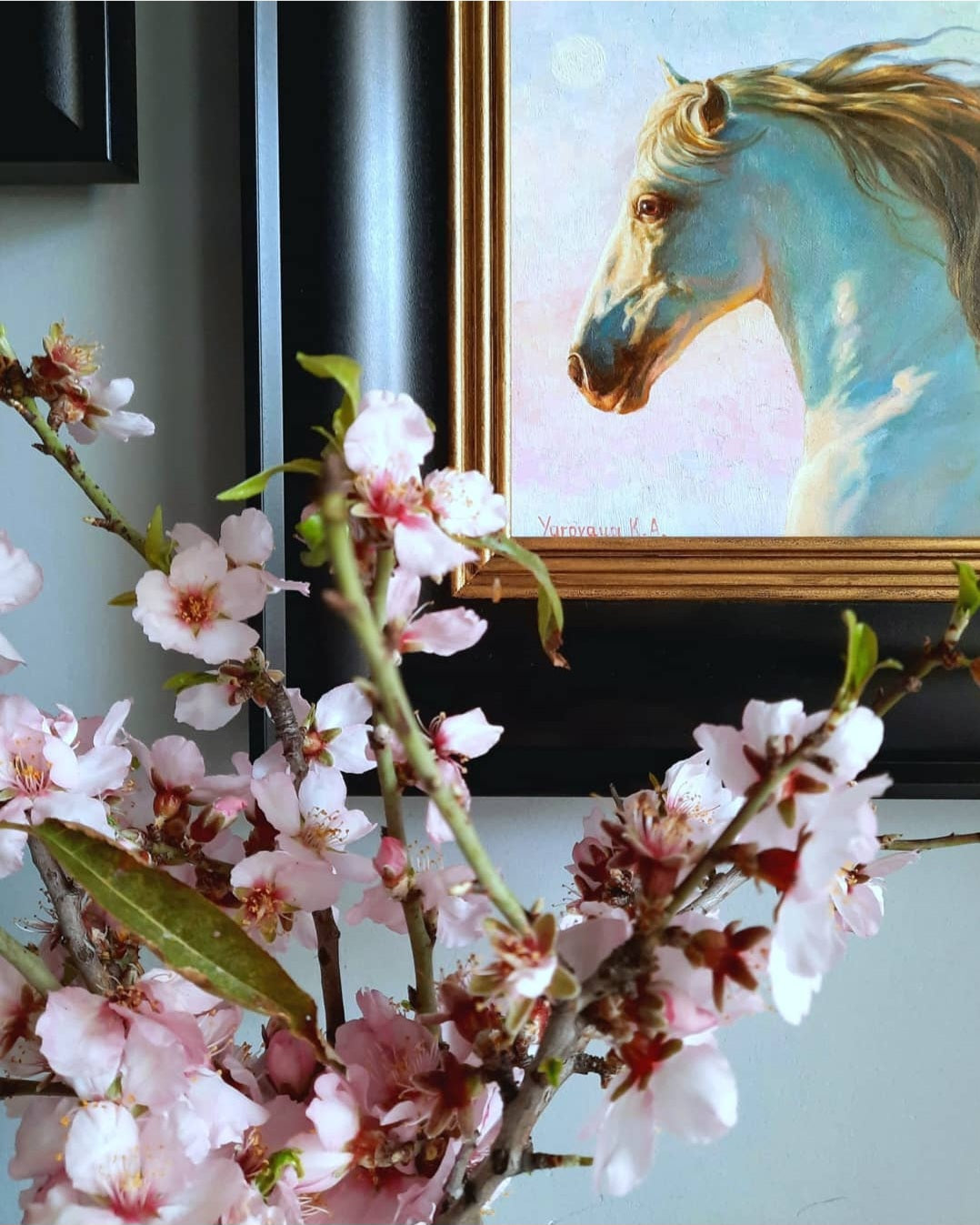 Breath of the Selina