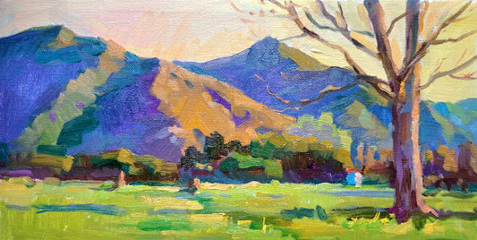 Juicy meadows of Sykia