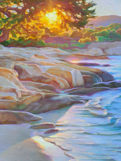 The Sun and the Dolphine.