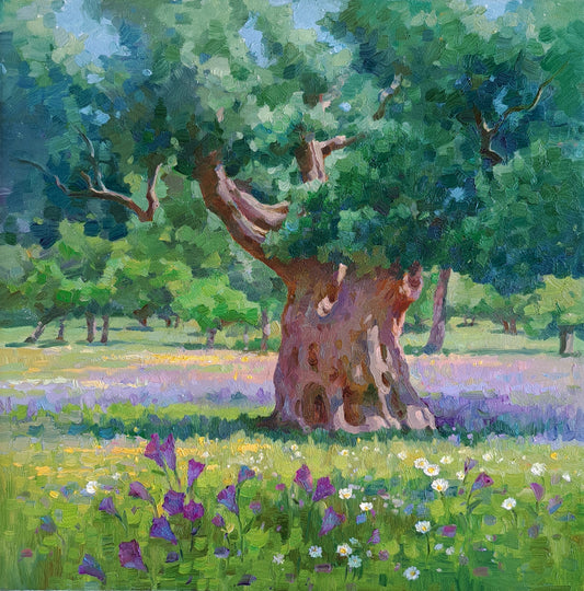 Spring in the Olive Grove. Kalamitsi