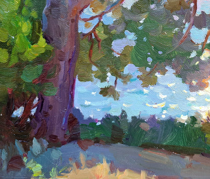 The pine tree and the sea. Loutra